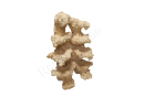 Multi Reef element Aquaroche