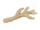 Acroporock XL Branche avec trou 35 38 cm 619785