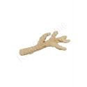 Acroporock XL Branche avec trou 35 38 cm 619785