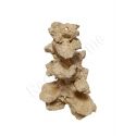 Nano Scape Pilier Droit