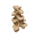 Nano Scape Pilier Droit