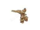 Nano Scape Pilier Arche