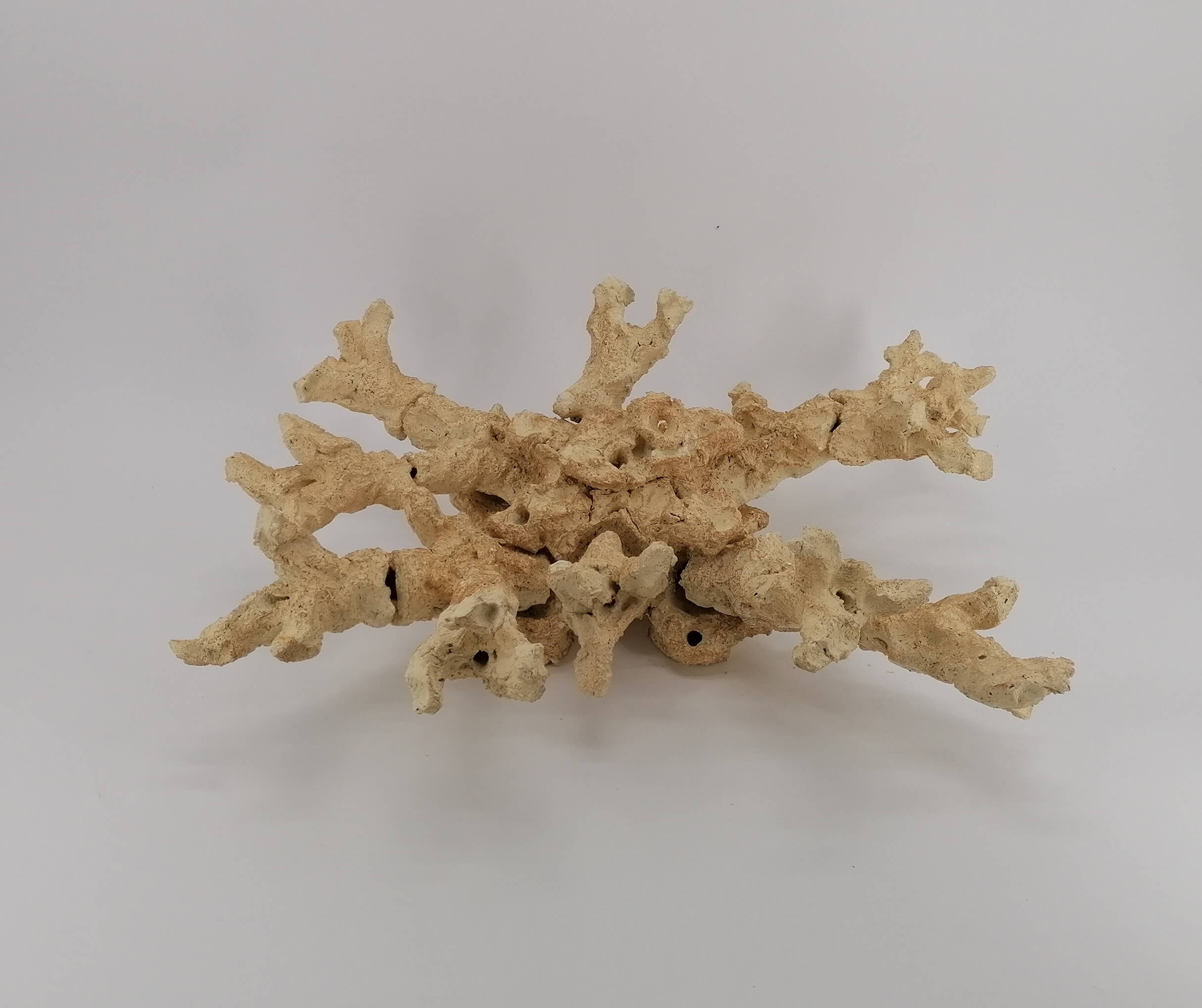 AquaScape colle coraux D&D gris - VPC RecifAtHome