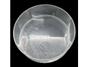 REEFSPY - plexiglas floating watch glas 250x75mm hg.
