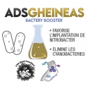 Coral Gheineas 50ml ADS