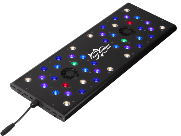 Evergrow Vs Reefbreeders Photon 24 Pro (ex : IT5060B)