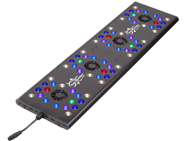 Evergrow Vs Reefbreeders Photon 32 Pro (ex : IT5080B)