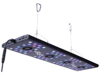Evergrow Vs Reefbreeders Photon 32 Pro (ex : IT5080B)