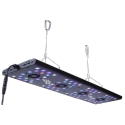 Evergrow Vs Reefbreeders Photon 32 Pro (ex : IT5080B)
