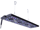 Evergrow Vs Reefbreeders Photon 32 Pro (ex : IT5080B)