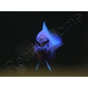 Pseudochromis fridmani  Bleu Ultra Elevage France ACDP 3-4 cm