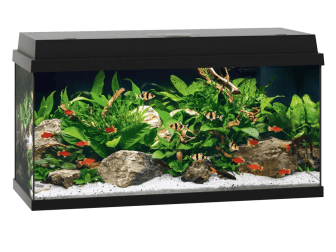 Aquarium PRIMO 110 NOIR JUWEL