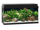 Aquarium PRIMO 110 NOIR JUWEL
