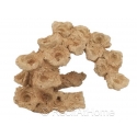 Zoa Garden Rock Arche courbe Aquaroche 540005