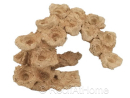 Zoa Garden Rock Arche courbe Aquaroche 540005