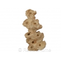 Zoa Garden Rock pilier 21 cm Aquaroche 540007
