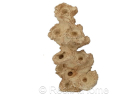 Zoa Garden Rock pilier 21 cm Aquaroche 540007