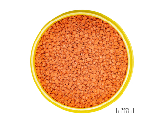 JBL PRONOVO BITS GRANO M 250ml CLICK