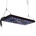 Evergrow Vs Reefbreeders Photon 16 Pro (ex : IT5040B)