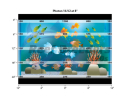 Evergrow Vs Reefbreeders Photon 16 Pro (ex : IT5040B)