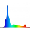 Evergrow Vs Reefbreeders Photon 16 Pro (ex : IT5040B)