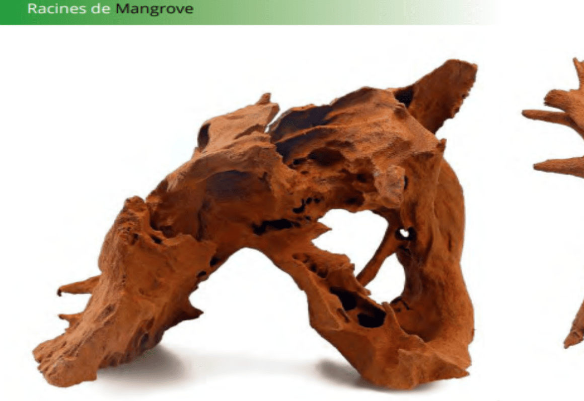 Legno Acquario Radice Mangrovia XL 45-60 Cm | Decorazione Acquario Naturale | Legno Per Pesci E Tartarughe Decorazione Naturale Vasca - 9