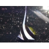 Heniochus acuminatus 6-9 cm