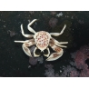 Neopetrolisthes oshimai 