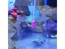 Coral feeding Ø 120 mm