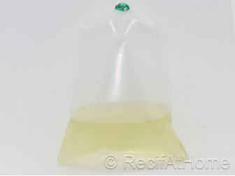Rotifere type L Brachionus plicatilis Nourriture vivante 90 ml