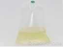 Rotifere type L Brachionus plicatilis Nourriture vivante 90 ml