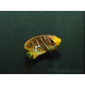Pygoplithe diacanthus élevage Bali aquarich WYSIWYG 5 2,5-3,5 cm