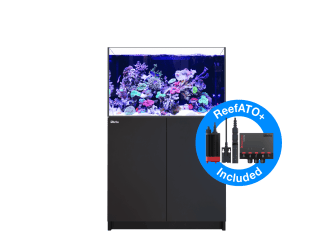 REEFER G2+  XL 300