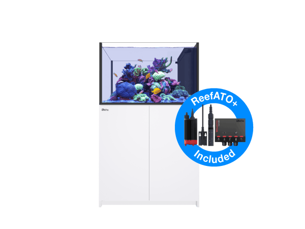 Peninsula G3 350 Redsea
