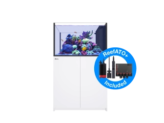 Peninsula G3 350 Redsea