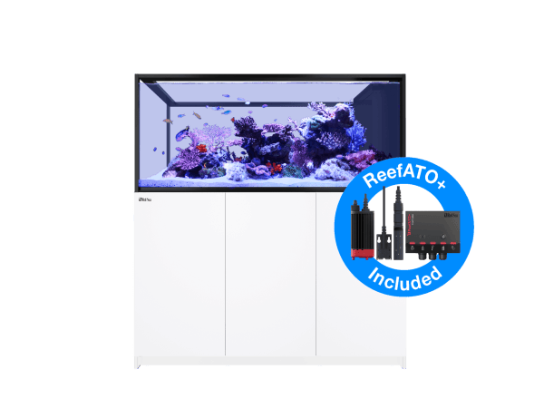 Peninsula G3 S-700 Redsea