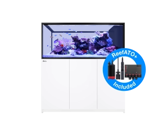 Peninsula G3 S-700 Redsea
