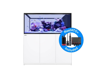 Peninsula G3 S-700 Redsea