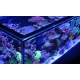 Peninsula G2+ S-700 aquarium Redsea 