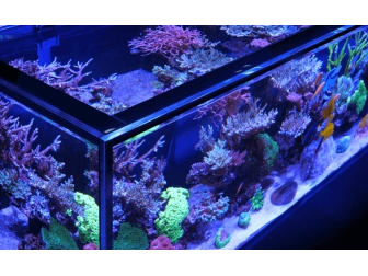 Peninsula G3 S-700 Redsea