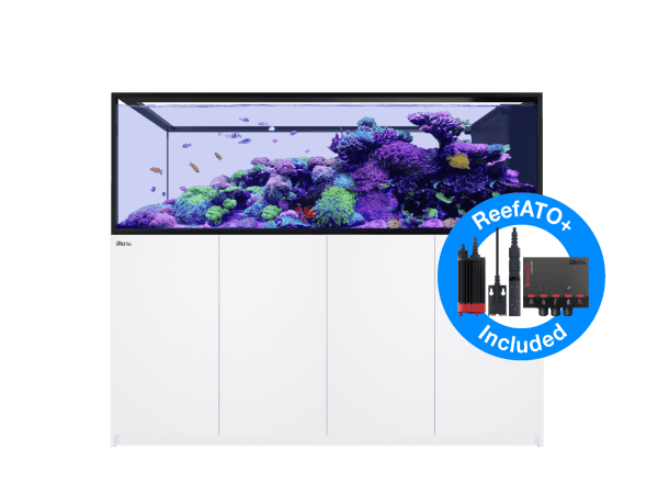 Peninsula G3 S-950 Redsea