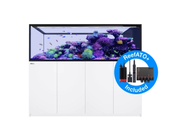 Peninsula G3 S-950 Redsea