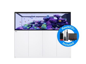 Peninsula G2+ S-950 aquarium Redsea 