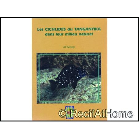 LES CICHLIDES DU TANGANYKA 