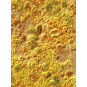 Phyto Feast 472ml phytoplancton ReefNutrition