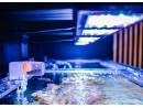 Smart feeder - Distributeur de nourriture Reef Factory