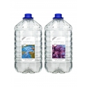 ATI Essentials pro Set 2 x 10 l Balling
