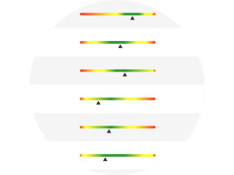 ICP OES analysis 35 elements  TRITON