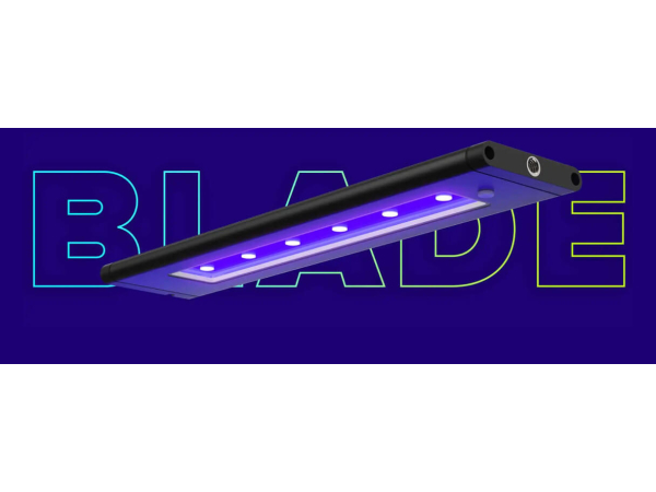 AI Blade 53,6cm Coral Glow 40w