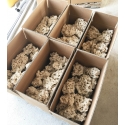 Marcorock normal shape natural rock prix au kg